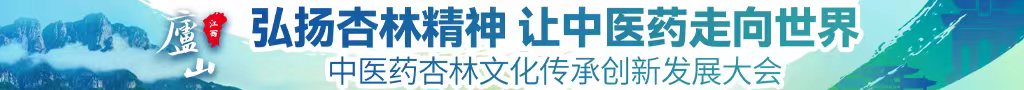 艹骚比奶子中医药杏林文化传承创新发展大会